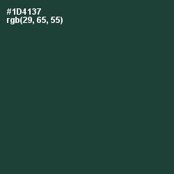 #1D4137 - Te Papa Green Color Image