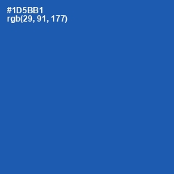 #1D5BB1 - Fun Blue Color Image