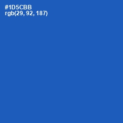 #1D5CBB - Fun Blue Color Image