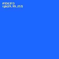 #1D63FD - Blue Ribbon Color Image