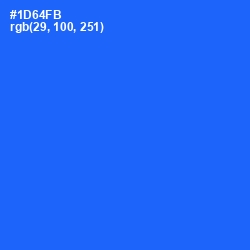 #1D64FB - Blue Ribbon Color Image