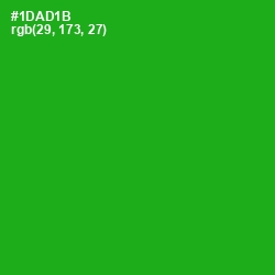 #1DAD1B - Forest Green Color Image