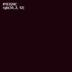 #1E020C - Asphalt Color Image