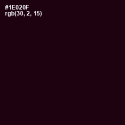 #1E020F - Asphalt Color Image