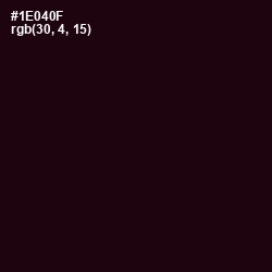 #1E040F - Asphalt Color Image
