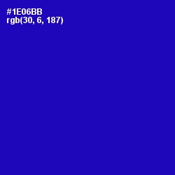 #1E06BB - Ultramarine Color Image