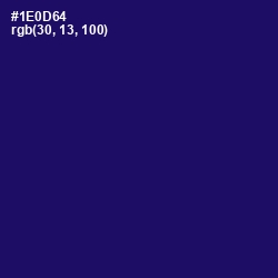 #1E0D64 - Arapawa Color Image