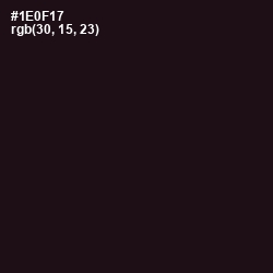 #1E0F17 - Night Rider Color Image