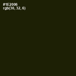 #1E2006 - Deep Forest Green Color Image