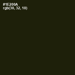 #1E200A - Deep Forest Green Color Image