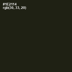 #1E2114 - Seaweed Color Image