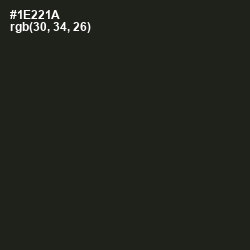 #1E221A - Seaweed Color Image