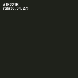 #1E221B - Seaweed Color Image