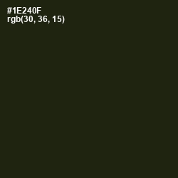 #1E240F - Deep Forest Green Color Image