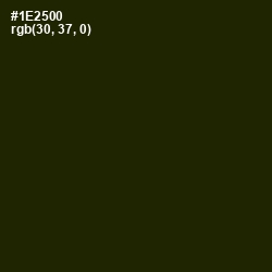 #1E2500 - Deep Forest Green Color Image