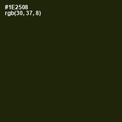 #1E2508 - Deep Forest Green Color Image