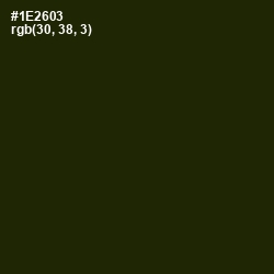 #1E2603 - Deep Forest Green Color Image