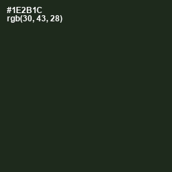 #1E2B1C - Seaweed Color Image