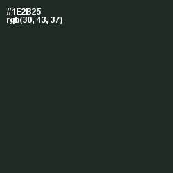 #1E2B25 - Celtic Color Image