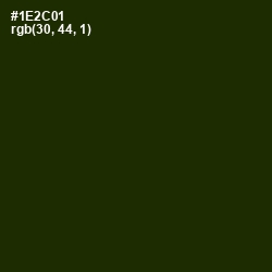 #1E2C01 - Deep Forest Green Color Image