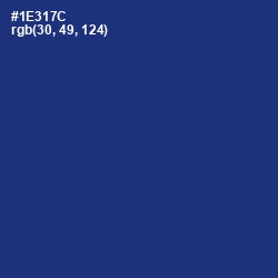 #1E317C - Catalina Blue Color Image