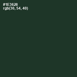 #1E3628 - Timber Green Color Image