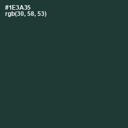 #1E3A35 - Gable Green Color Image
