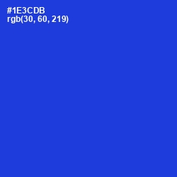 #1E3CDB - Dark Blue Color Image