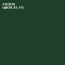 #1E3F29 - Timber Green Color Image