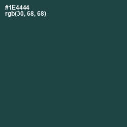 #1E4444 - Eden Color Image