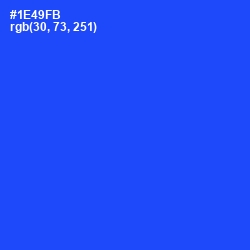 #1E49FB - Blue Ribbon Color Image