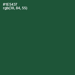 #1E5437 - Te Papa Green Color Image