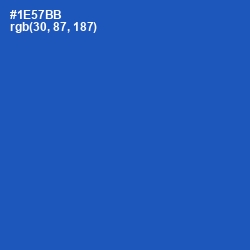 #1E57BB - Fun Blue Color Image