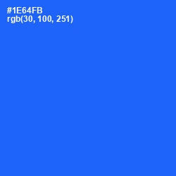 #1E64FB - Blue Ribbon Color Image