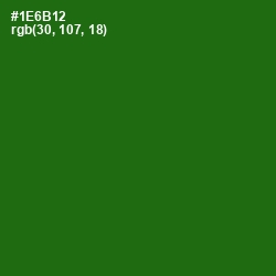 #1E6B12 - Japanese Laurel Color Image