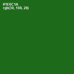 #1E6C1A - Japanese Laurel Color Image