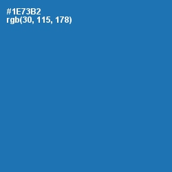 #1E73B2 - Denim Color Image