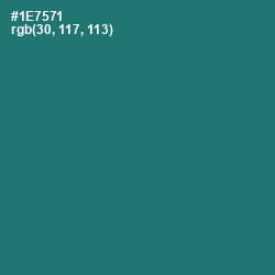 #1E7571 - Elm Color Image