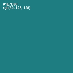#1E7D80 - Blue Lagoon Color Image