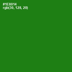 #1E8014 - Forest Green Color Image