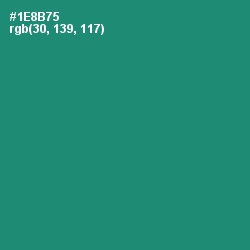 #1E8B75 - Elf Green Color Image