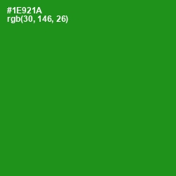 #1E921A - Forest Green Color Image