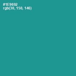 #1E9692 - Blue Chill Color Image