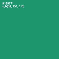 #1E9771 - Elf Green Color Image