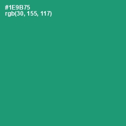 #1E9B75 - Elf Green Color Image