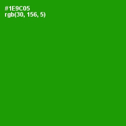 #1E9C05 - Forest Green Color Image