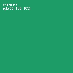 #1E9C67 - Elf Green Color Image