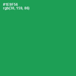 #1E9F56 - Eucalyptus Color Image