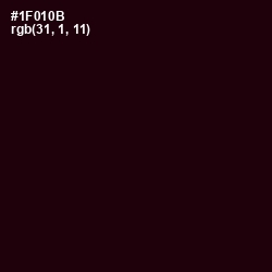 #1F010B - Creole Color Image