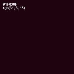#1F030F - Creole Color Image